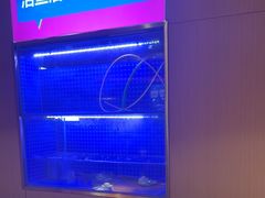 -蜀香三绝·牛蛙·烤鱼·天府炒鸡(安丘泰华店)