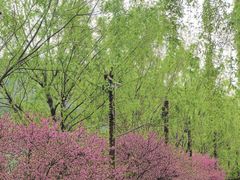 -南北湖风景区
