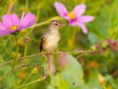 -上海山野camping·户外天幕烧烤·团建拓展营地