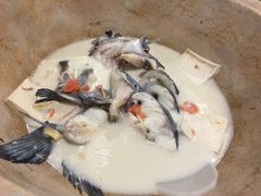 鮰鱼-云中鱼蒸汽石锅鱼(川沙百联店)