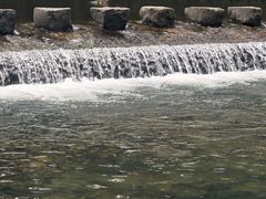 -鹿亭中村