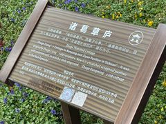 -南阳卧龙岗武侯祠
