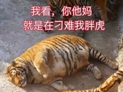 -北京汉丽轩自助烤肉火锅超市(香港城店)