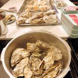 魔都人均100+轻松实现生蚝自曲