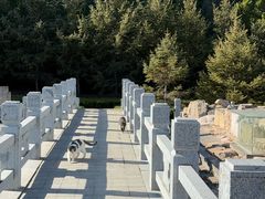 -四门塔风景区