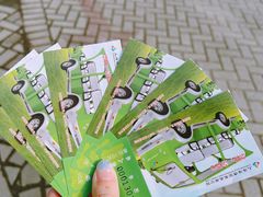 -上海海湾国家森林公园