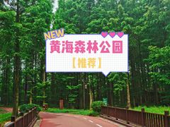 -黄海国家森林公园