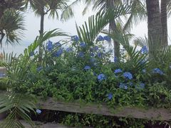 -碧桂园十里银滩