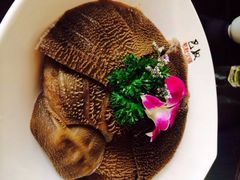 巴奴毛肚火锅(广益哥伦布店)-巴奴毛肚火锅(广益哥伦布店)