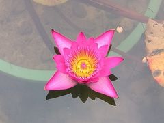 -云溪植物园