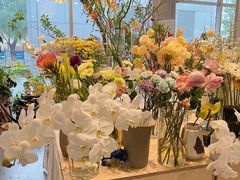 -dotcom coffee古点咖啡(致真大厦店)