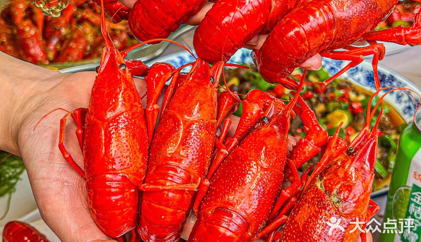 绵阳美食｜绵阳小龙虾届的扛把子‼️江湖菜也绝‼️