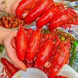 绵阳美食｜绵阳小龙虾届的扛把子‼️江湖菜也绝‼️