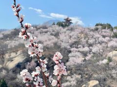 -白水寺森林公园