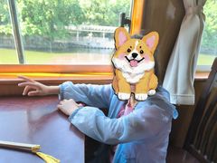 -运河游船(武林门码头)