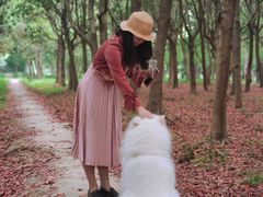 -蜀冈西峰生态公园