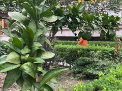 -下海庙