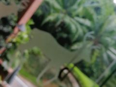 -麒麟中餐厅·经典粤菜·地道菜式老字号(广州长隆酒店)