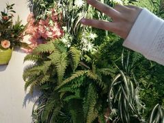 -南城十里潮汕鲜牛火锅·鲜虾生滚粥(融汇老商埠店)