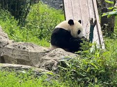 -武汉动物园