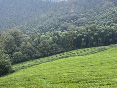 -敬亭山风景名胜区