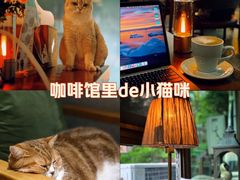 -咖法森林·咖啡  酒吧(天河店)