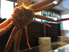 -蟹之国·精品蟹料理(极地店)