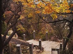 -北京凤凰岭