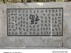 -杭州半山国家森林公园