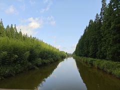 -黄海国家森林公园