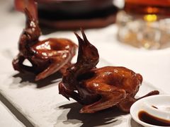 -侨美食家·40年地道粤菜(珠江新城店)