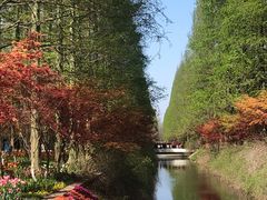 -东平国家森林公园