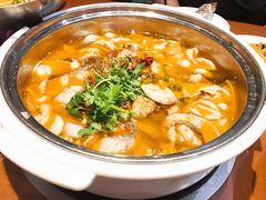 有机黑鱼（肥肠）-龙梅肥肠鱼(明瓦廊店)