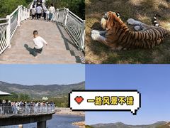 -青岛森林野生动物世界