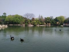 -无锡蠡湖国家湿地公园-蠡园