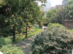 -星巴克(人民公园店)