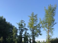 -西安浐灞国家湿地公园