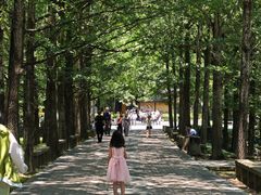 -五泄景区