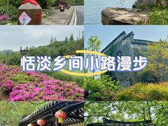 -杏花村文化旅游区