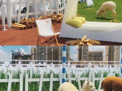 -Blue Concept Cafe&Farm·關於藍