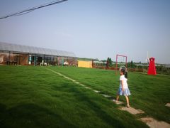 -美家乐农庄·露营·团建(大治路店)