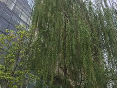 -北京民族园葉子里酒店(鸟巢店)