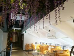 点击看大图 -Cocodemer 产后恢复中心(多伦路店)