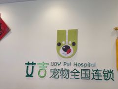 -艾吉宠物医院·疑难杂症转诊中心·猫友好(碧江路院)