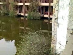 -天赐温泉
