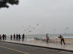 -老虎石海上公园