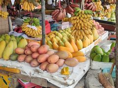 -南沙十九涌渔人码头-南门