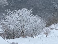 -宜昌富力皇冠假日酒店·咖啡1号西餐厅