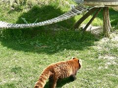 -水上乐园·欢乐世界