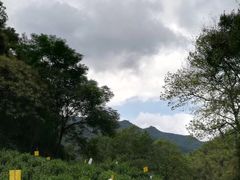 -水墨汀溪风景区
